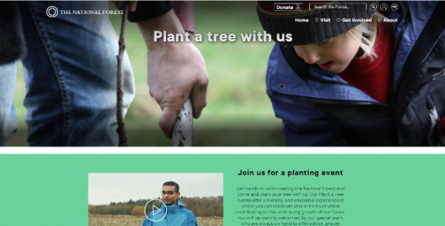plant_a_tree_700x355
